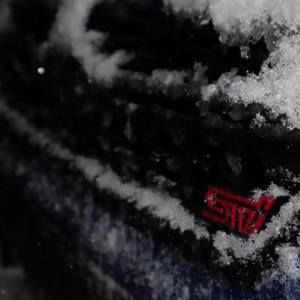 Meet your Posher, Shane